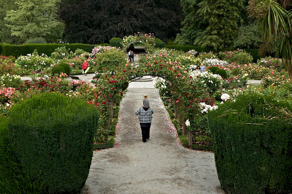 Botanic Gardens - Christchurch, South Island
